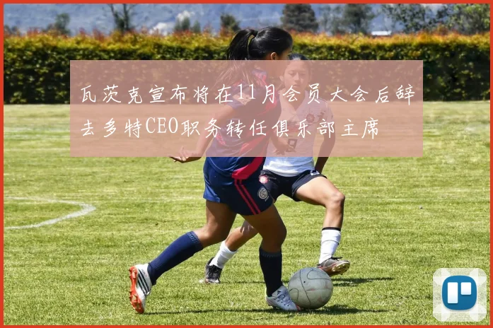 瓦茨克宣布将在11月会员大会后辞去多特CEO职务转任俱乐部主席