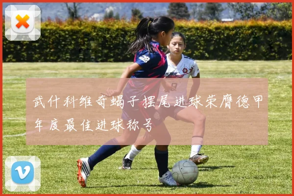 武什科维奇蝎子摆尾进球荣膺德甲年度最佳进球称号