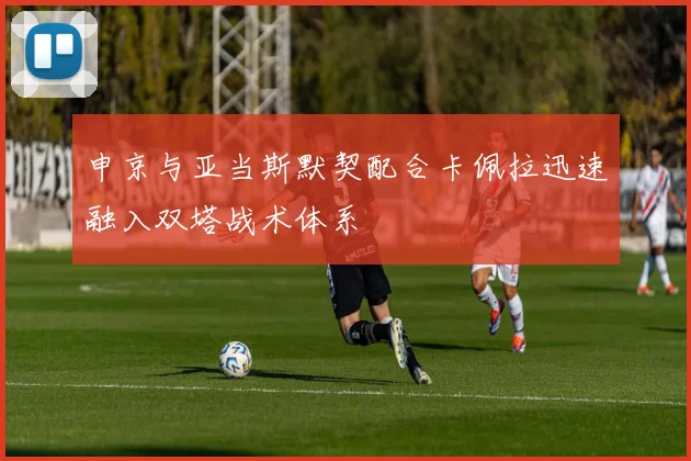 申京与亚当斯默契配合卡佩拉迅速融入双塔战术体系