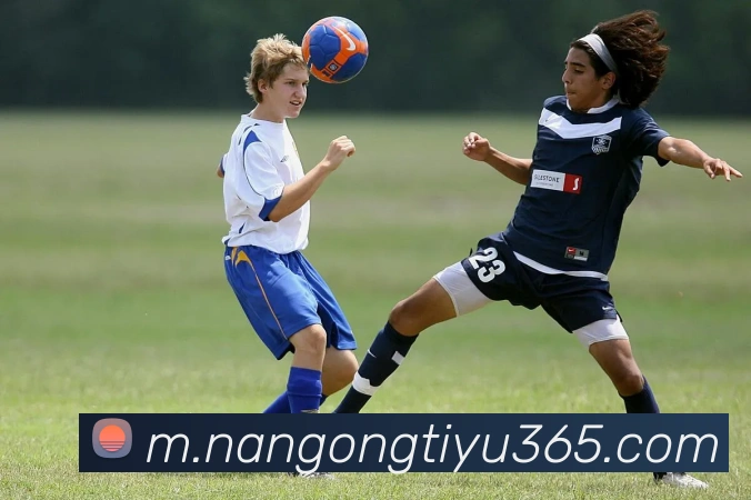 App Interface Preview