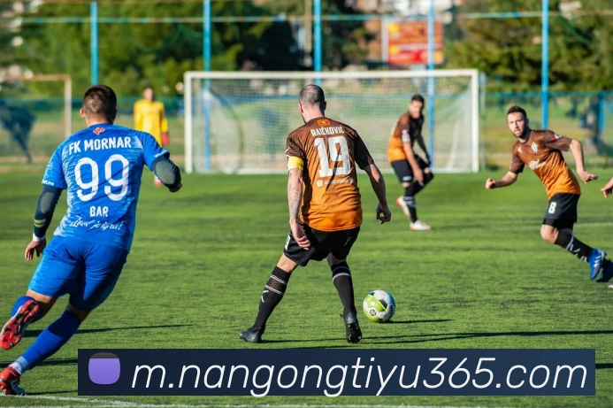 南宫体育APP 封面图